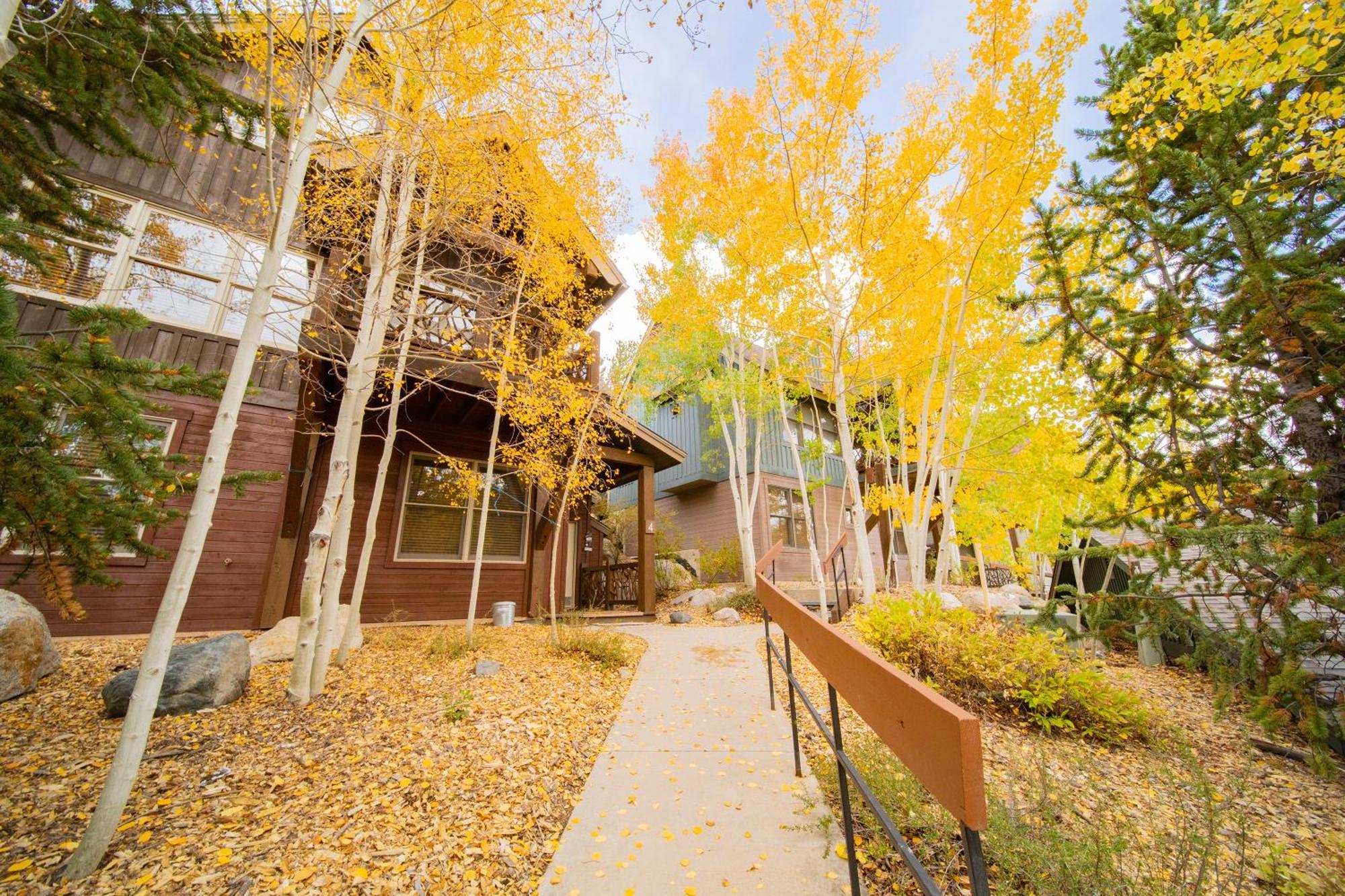 Cabin In The Pines 4 By Summitcove Lodging Keystone Extérieur photo